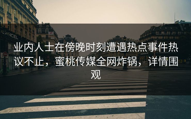 业内人士在傍晚时刻遭遇热点事件热议不止，蜜桃传媒全网炸锅，详情围观