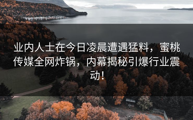 业内人士在今日凌晨遭遇猛料，蜜桃传媒全网炸锅，内幕揭秘引爆行业震动！